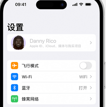 覃塘appleID维修服务iPhone设置中Apple ID显示为灰色无法使用