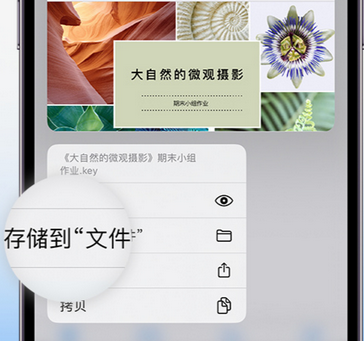 覃塘apple维修中心分享iPhone文件应用中存储和找到下载文件