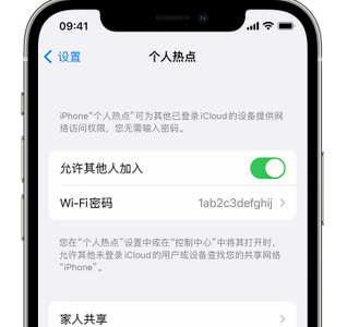 覃塘apple服务站点分享iPhone上个人热点丢失了怎么办