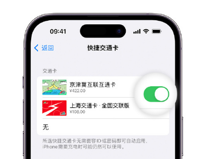 覃塘apple维修点分享iPhone上更换Apple Pay快捷交通卡手绘卡面 