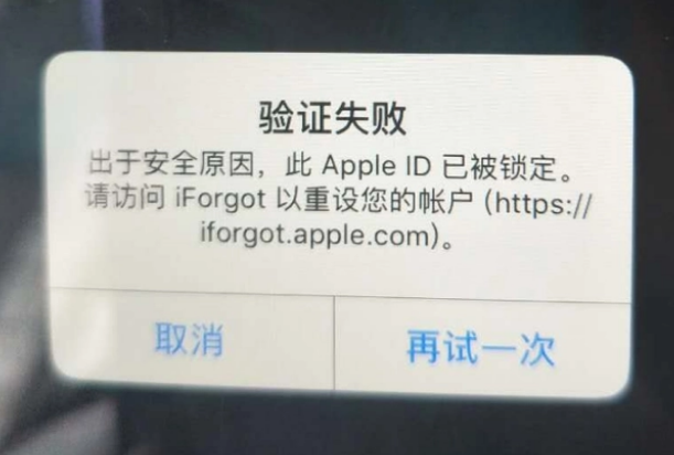 覃塘iPhone维修分享iPhone上正常登录或使用AppleID怎么办 