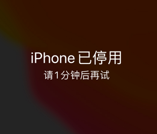 覃塘苹果手机维修分享:iPhone 显示“不可用”或“已停用”怎么办？还能保留数据吗？ 