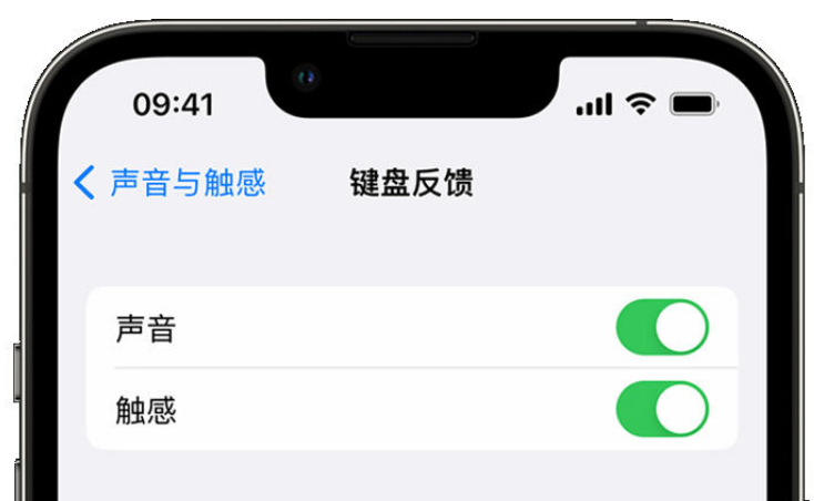 覃塘苹果手机维修分享iPhone 14触感键盘使用方法 