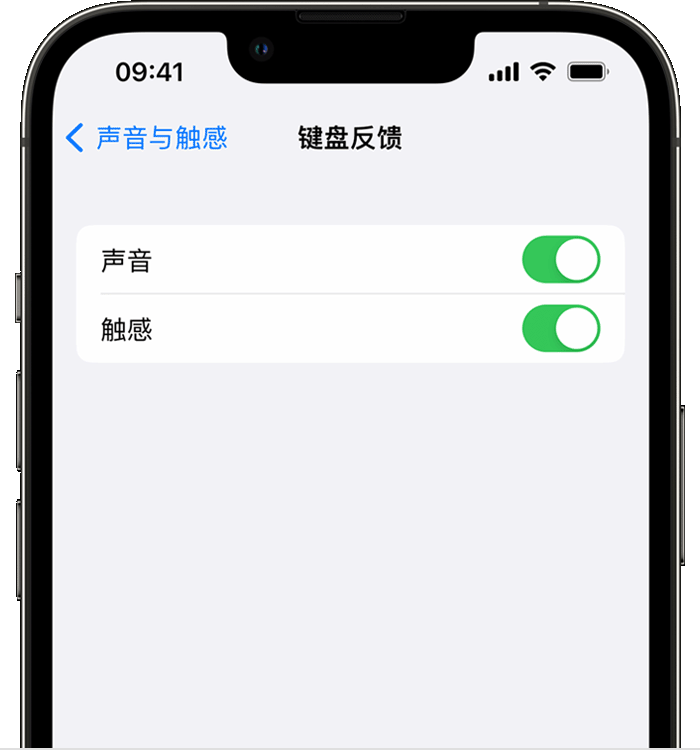 覃塘苹果14维修店分享如何在 iPhone 14 机型中使用触感键盘 