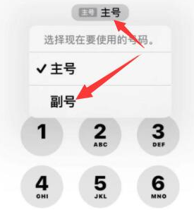 覃塘苹果14维修店分享iPhone 14 Pro Max使用副卡打电话的方法 