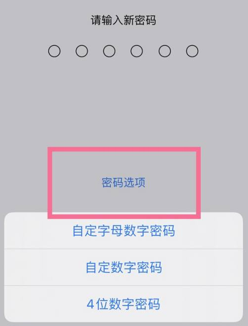 覃塘苹果14维修分享iPhone 14plus设置密码的方法 