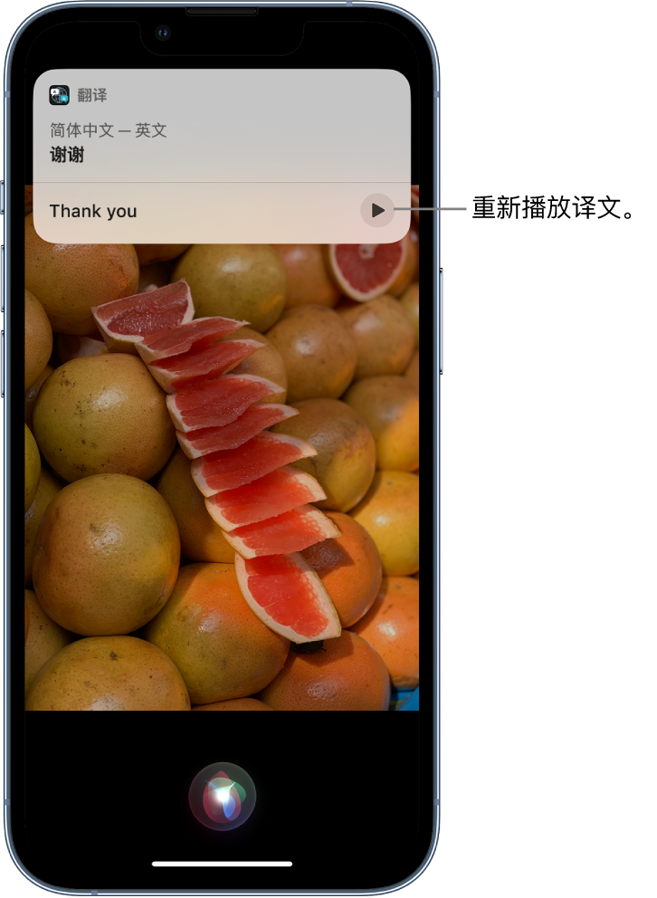 覃塘苹果14维修分享 iPhone 14 机型中使用 Siri：了解 Siri 能帮你做什么 