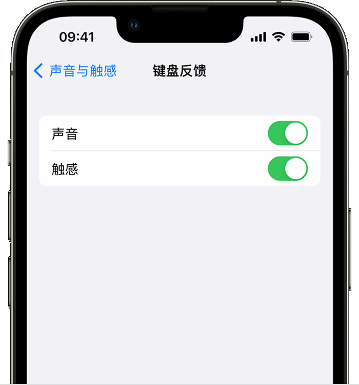 覃塘苹果14维修分享iPhone 14 系列机型如何开启键盘声音或触感反馈 