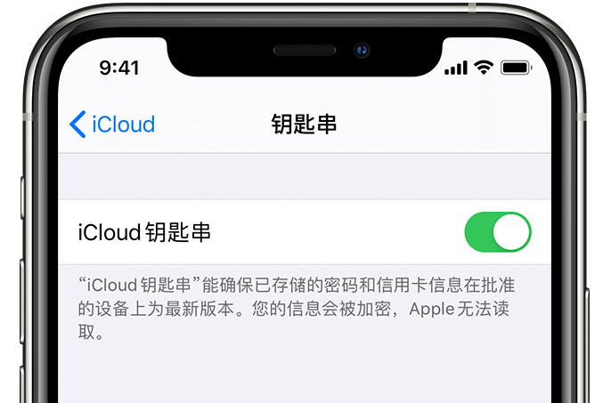 覃塘苹果手机维修分享在 iPhone 上开启 iCloud 钥匙串之后会储存哪些信息 