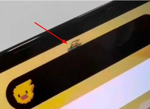覃塘苹果14维修分享iPhone 14 Pro Max灵动岛怎么养宠物 