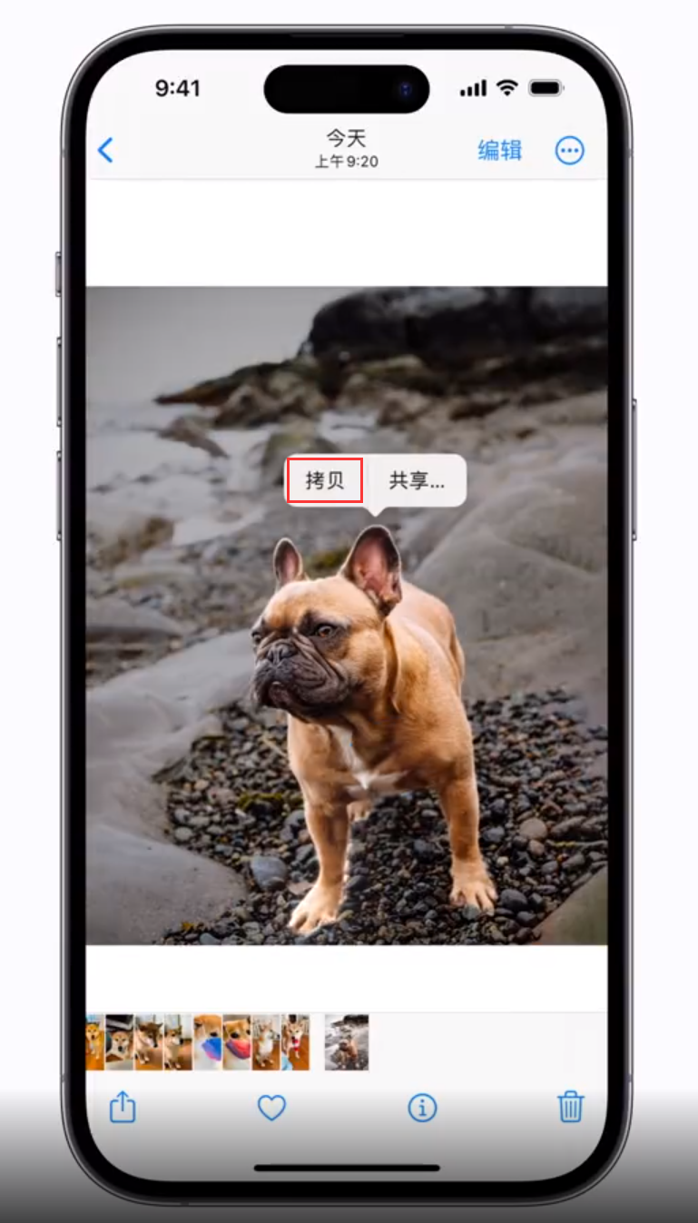 覃塘苹果手机维修分享 iOS 16 自带一键抠图功能 
