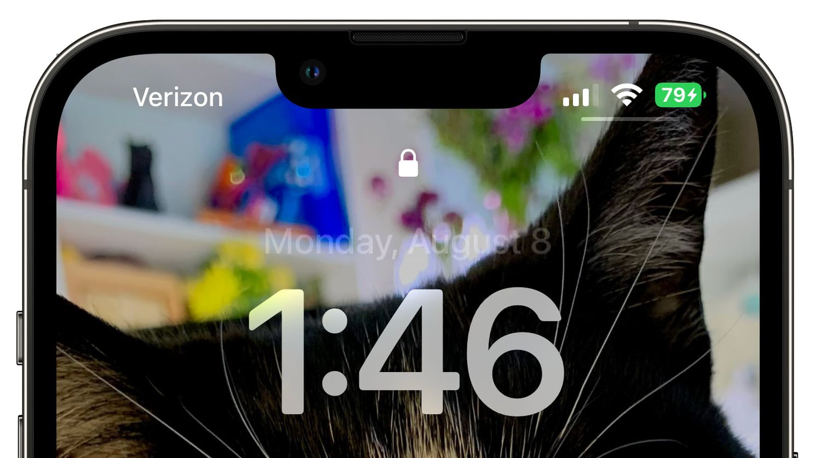 覃塘苹果手机维修分享iOS 16 beta 5 支持状态栏显示电池百分比，如何开启？支持哪些机型 