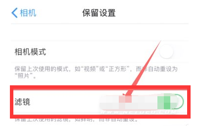覃塘苹果13维修分享iPhone13拍照有绿点是怎么回事 