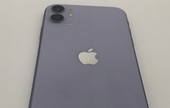 覃塘苹果11系统维修分享iPhone11手机系统崩溃无法开机如何解决
